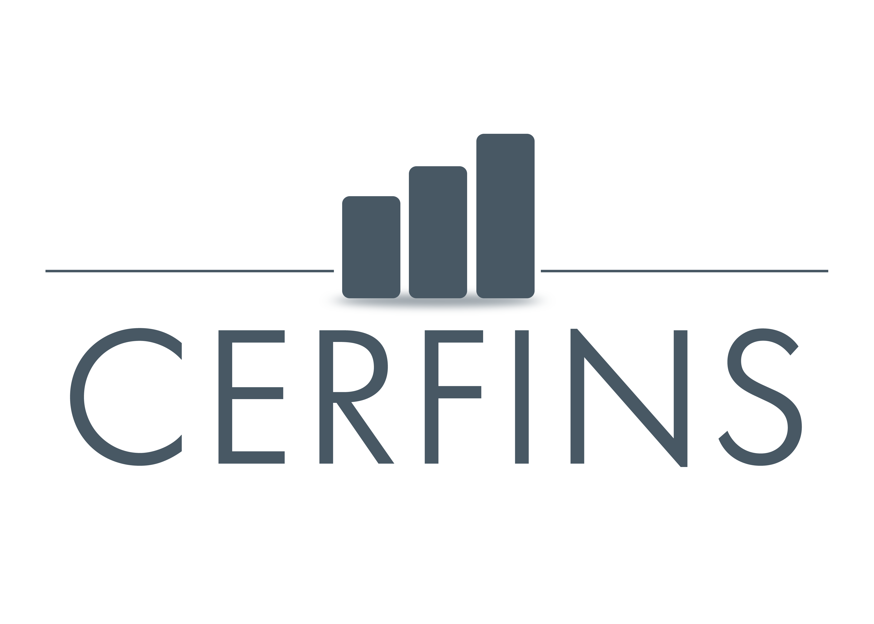 Cerfins Risk Management